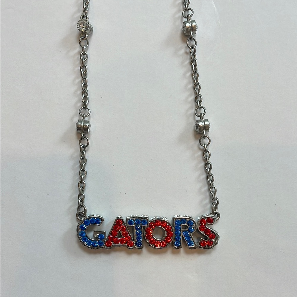 Silver Necklace with Oranges and Blue Gators Pendant